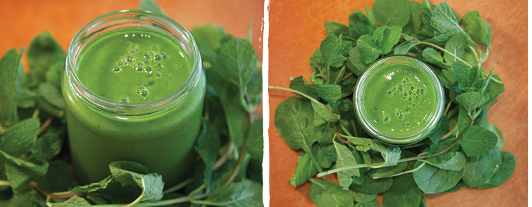 Classic Green Smoothie Recipe by OmniBlend Australia